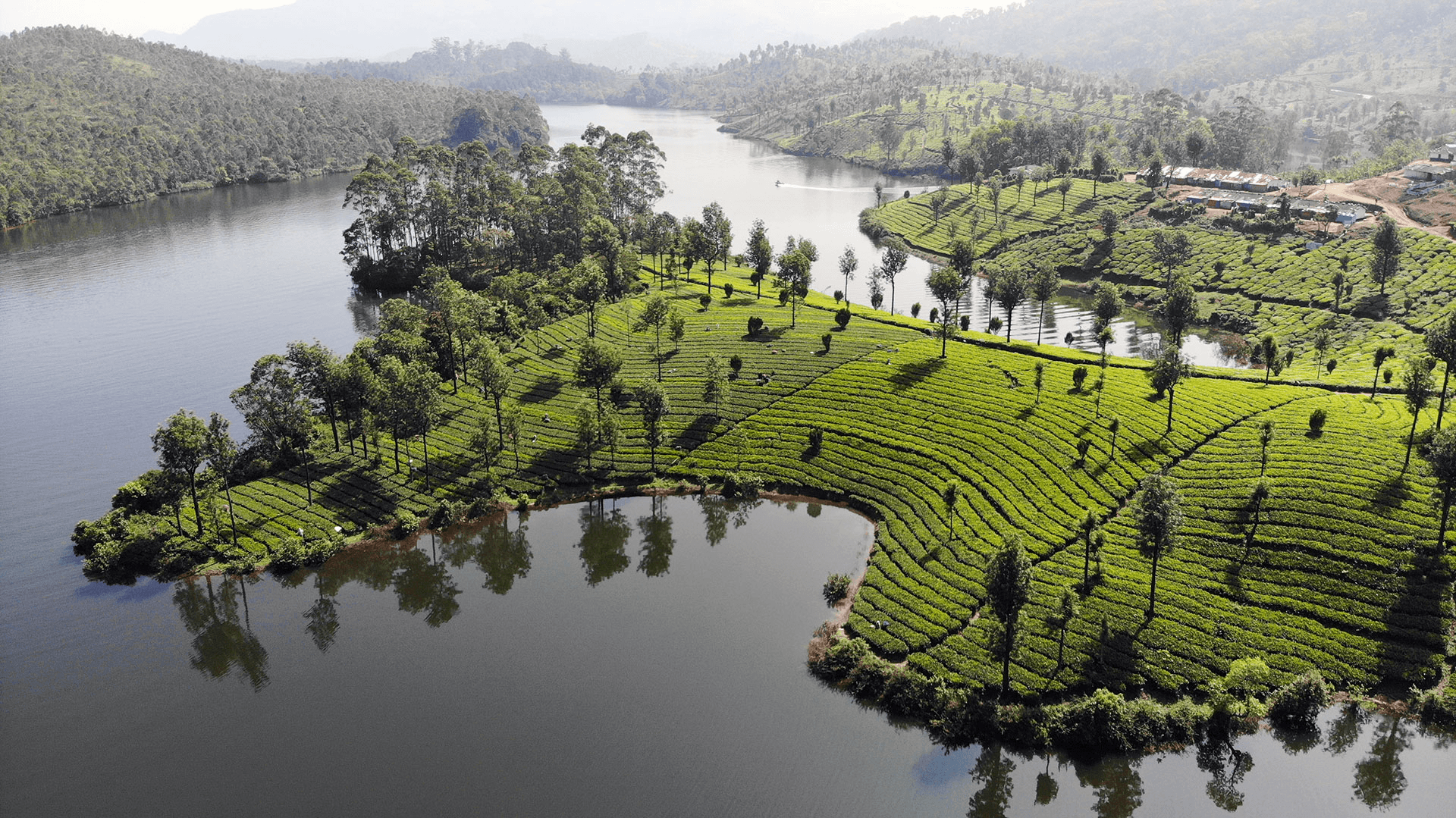 Munnar valley view
