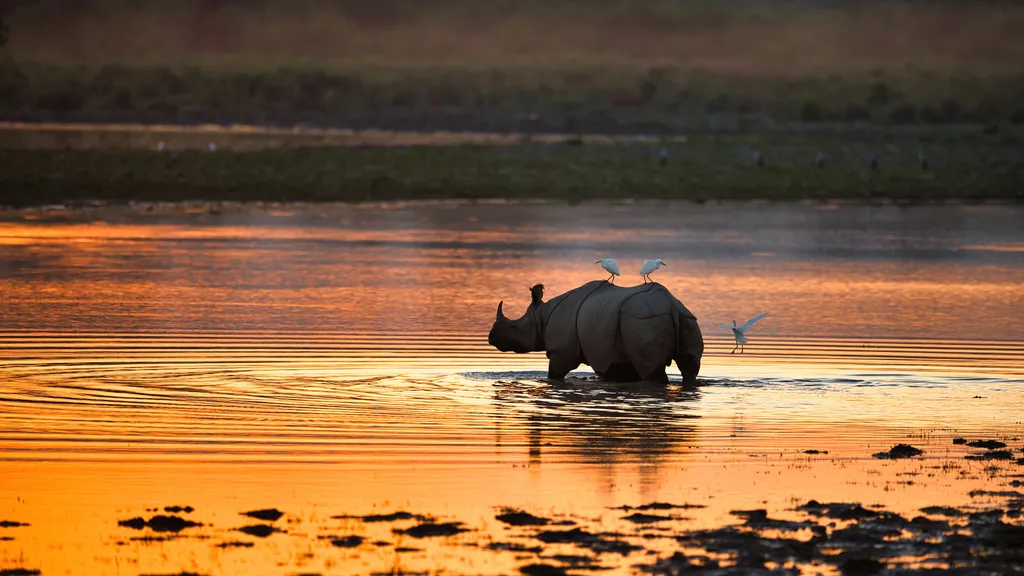 Unraveling Places of Assam